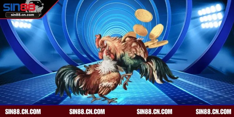 Đá gà Thomo mang đến trải nghiệm hấp dẫn, thú vị