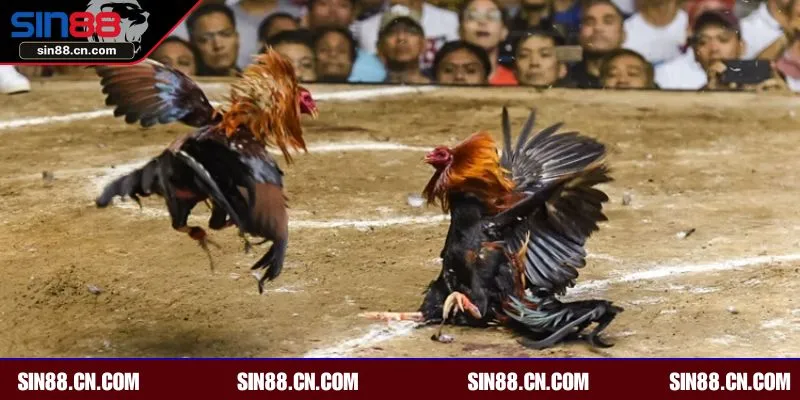 Sảnh được đánh giá cao bởi nhiều chuyên gia